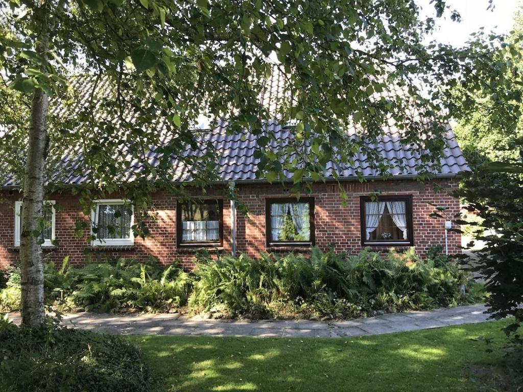 Deich Im Landhaus Michaela Friedrichskoog Exterior foto