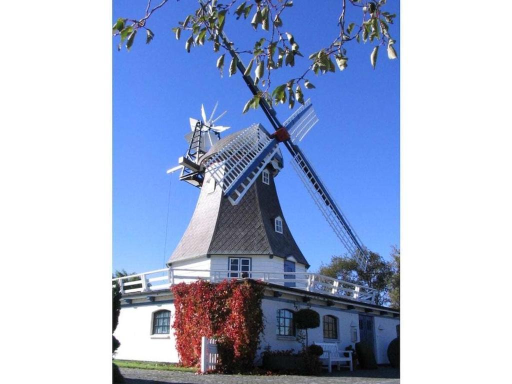 Deich Im Landhaus Michaela Friedrichskoog Exterior foto